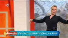 Seda Akgül Hayvan Hakları İçin Canlı Yayında Göbek Attı