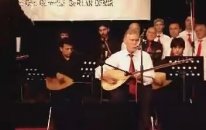 Şafak Bozarslan - Yeşil Başlı Gövel Ördek