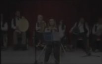 Yeşil Başlı Gövel Ördek - Engelli Koordinasyon Birimi
