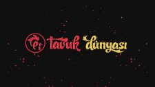 Tavuk Dünyası