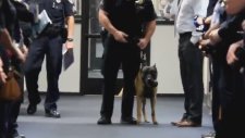 Polis Köpeğinin Emekli Olması