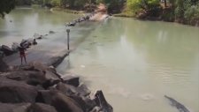 Amatör Balıkçının Avına Gözdiken Timsah