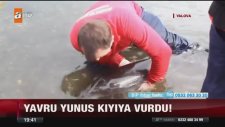 Yunusu Kurtarmak İçin Suni Teneffüs Yaptılar