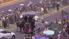 Papa Françesko'yu Koruyan Kadın Polis Attan Düştü