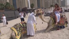 Dubai Plajlarında Deveye Binmek