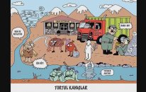 Yks Coğrafya Tortul Kayaçlar