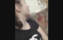 Korktun mu ? Kedi Versiyonu Gülme Garantili