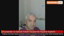Kayınpeder ve Damadı Köpek Kavgasında Hayatını Kaybetti