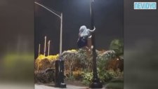 Eteğini Umursamadan Direğe Tırmanan Kadın