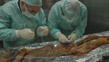 Buzadam Otzi 5300 Yıllık Mumya
