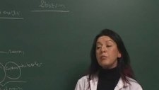 Ygs Lys Biyoloji Enzim Atp Metobolizma