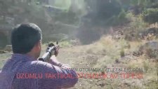 Ucuz Üzümlü Taktikal Otomatik Av Tüfeği Şatışı