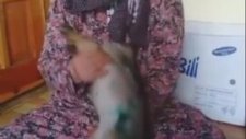 Üzerine Kaynar Su Dökülüp Çöpün Kenarına Atılan Yavru Köpek