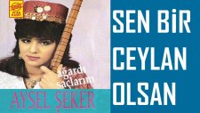 Aysel Şeker - Sen Bir Ceylan Olsan