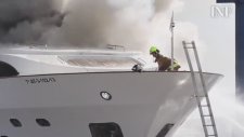 Yanan Yatı Umursamayan Kedi