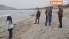 Alanya'da 'Camgöz' Cinsi Köpek Balığı Kıyıya Vurdu