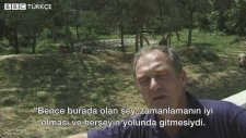 Yıl 1998: Türkiye'de Zorla Oynatılan Ayılar Artık Özgür