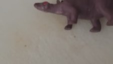 Kurban Bayramında Dinozor Kesen Adam