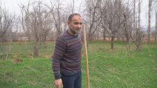 Köpeklere Doğal Yuva Yaptık - Doğa Ajanı