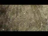 Autumn - Satellites
