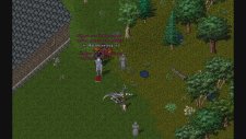 Nebula Uo Shard - Random Spawn (Aida)