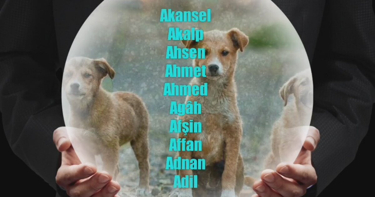 Acayip Tipler 2.Bölüm 14 Temmuz 2019-2020-2020 izle 47