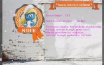 Nehir ~ İsminin Anlamı~ Ayrıntılı Analizi~