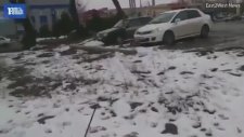 Sokak Köpeğine Çarıpıp Umursamadan Yoluna Devam Eden Siyasetçi