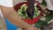 Zavallı Civcivlerin Boyanması