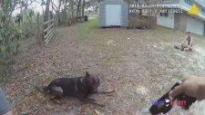 Amerikan Polisinin Yürek Hoplatan Müdahalesi