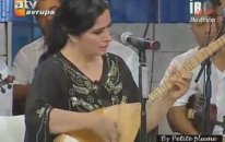 Nuray Hafiftaş - Yeşil Başlı Gövel Ördek