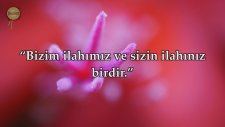 Ankebut Suresi - İdris Abkar | fussilet Kuran Merkezi