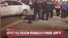 Köpeği Yola Fırlatan Vicdansıza Otomobil Çarptı