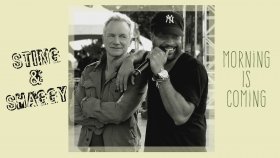 Sting - Shaggy - Morning Is Coming Sting - Shaggy - Morning Is Coming