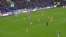 Cenk Tosun'un Brighton'a Attığı Fantastik Gol