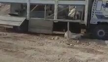 General Makina Taş kırma Eleme Tesisleri