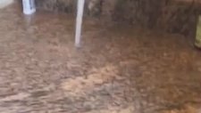 Olağan Dışı Lavabo Tasarımı
