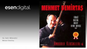 Mehmet Demirtaş - Su Gelir Millendirir - Esen Digital