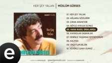 Müslüm Gürses - Hava Nasıl Oralarda