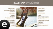 Necdet Kaya - Anlatmam Derdimi Dertsiz İnsana