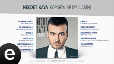 Necdet Kaya - Suya Gider Allı Gelin