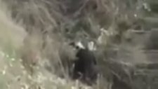 Kayseri Yahyalı'da Köpeğe Tecavüz Eden Yaşlı Adam (+18)