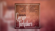 Sümer Ezgü - Kayayı Gırcı Tuttu (İlvanlım)