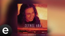 Zeynel Aba - Başına Döndüğüm