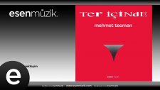 Mehmet Teoman - Dalgamı Geçmekteyim