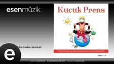 Ülkü Giray - Çiçeğe Veda Edip Oradan Ayrılmıştı
