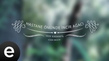 Yedi Karanfil - Hastane Önünde İncir Ağacı