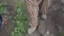 Çiftçi Kadının İsyanı
