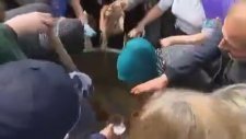 Manisa'da Mesir Macunu İzdihamı Yaşanması
