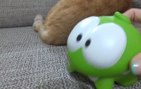 Kedi Omnom'a Sinirleniyor - Om Nom And Cat Video For Kids